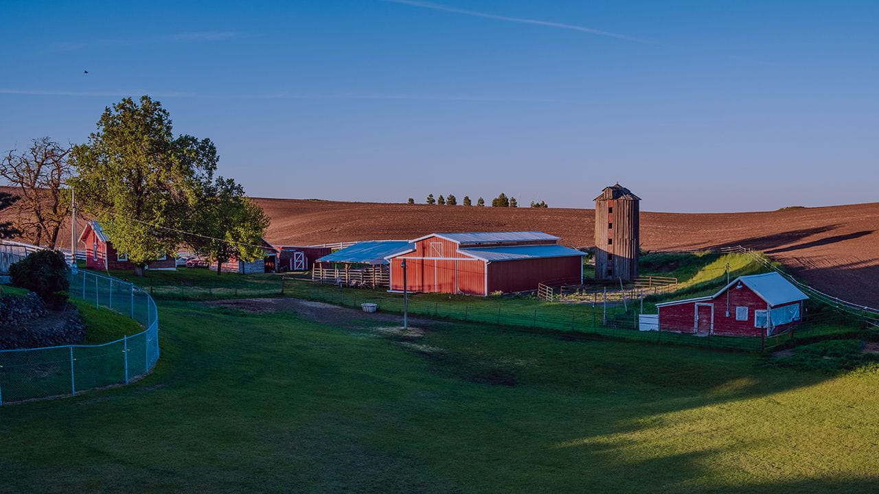 Video clip thumbnail